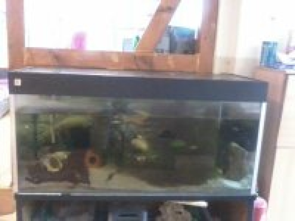 300 liter Aquarium zu verkaufen - Sonstige - Windeck
