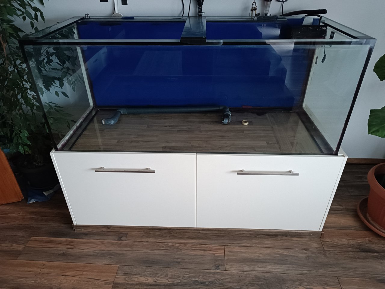 Aquarium Meerwasser Süßwasser - Aquarium - Wurmannsquick