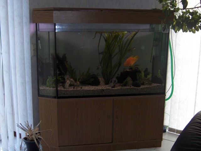 Komplettes 650 Liter Aquarium - Aquarium - hess.oldendorf