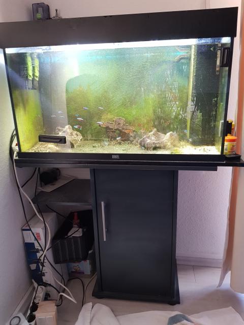 Aquarium zu verkaufen - Aquarium - Düsseldorf