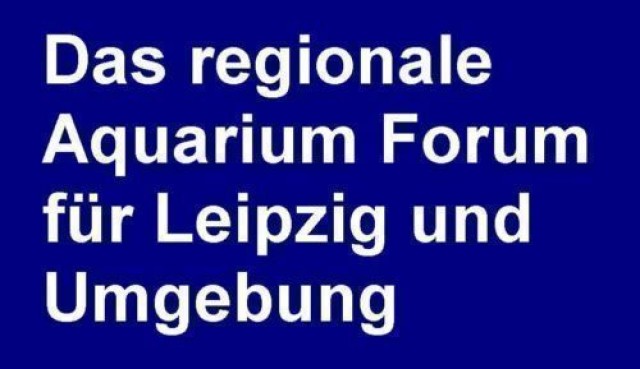 Regionales Aquarium Forum sucht Mitglieder - Aquarium - Leipzig