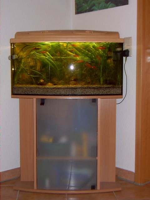 Komplettaquarium - Aquarium - Waldburg