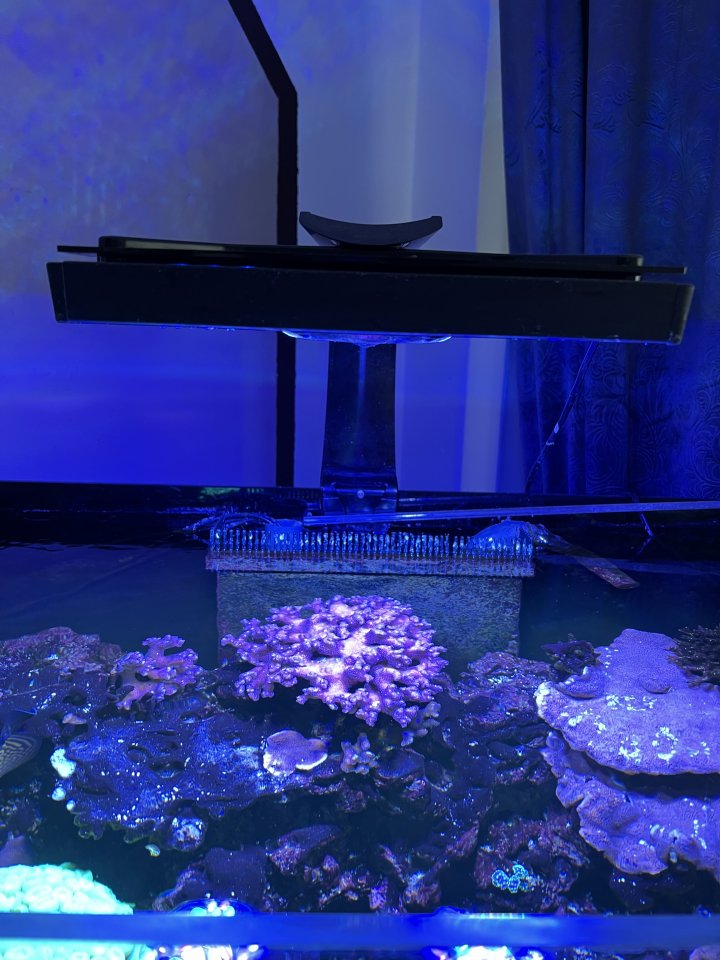 Meerwasser Aquarium - Aquarium - München
