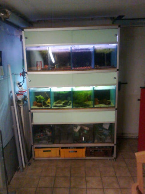 Zuchtanlage Schauen - Aquarium - köln raderberg 