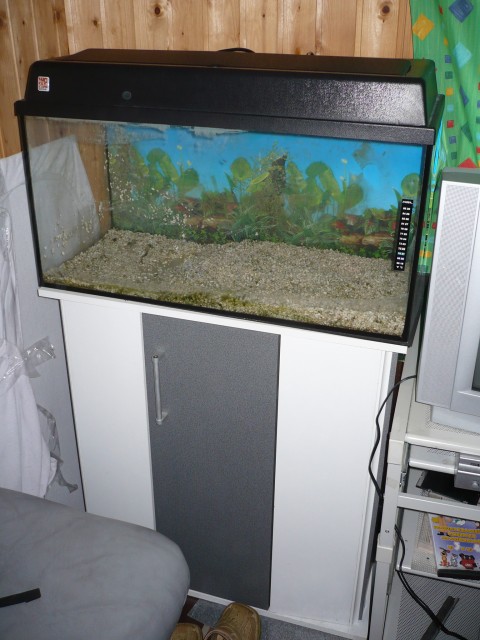 Quarium kompett - Aquarium - Dortmund