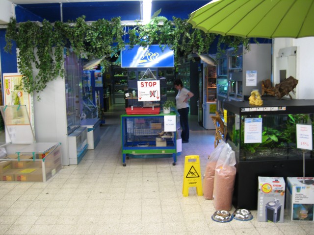 Flohmarkt bei ZOO Apel - Aquarium - Traunstein