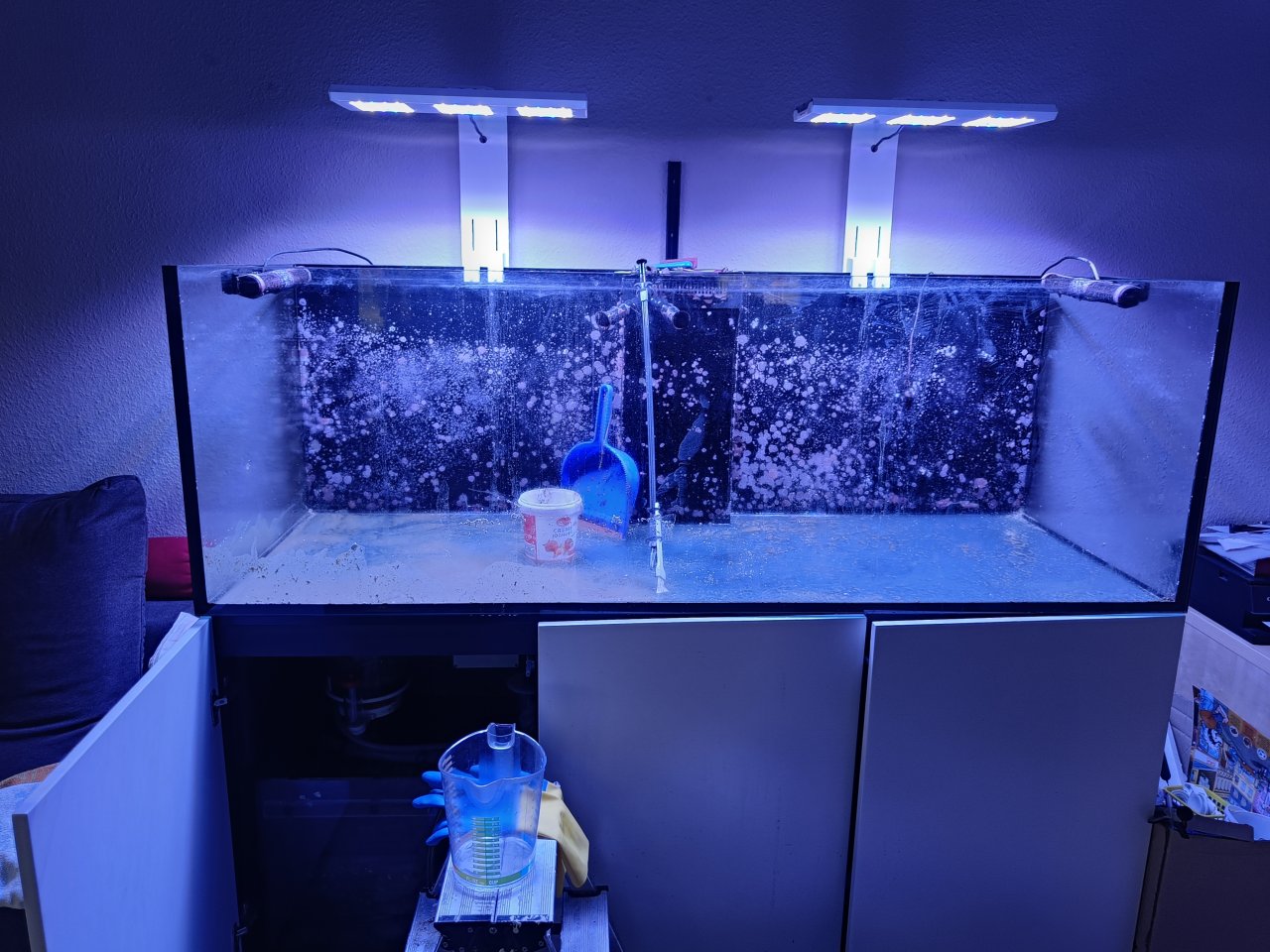 Meerwasseraquarium 750l - Aquarium - Lübstorf