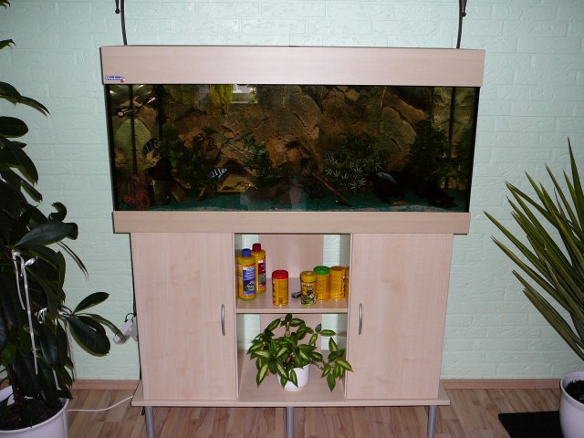 Komplett-Aquarium 240l 6 Monate - Aquarium - Sottrum