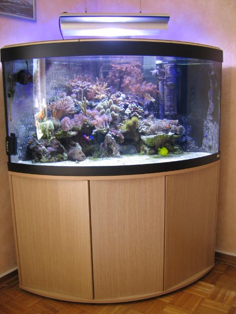 Meerwasseraquarium 350 L. - Aquarium - Mönkloh