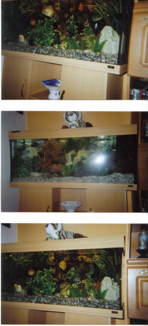 Verkaufe Aquarium - Aquarium - 