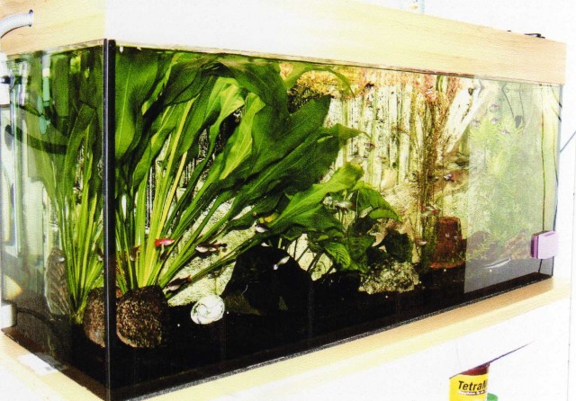 Schönes Aquarium 120cm - 50cm - 40cm  VB 450 Euro - Aquarium - Passau