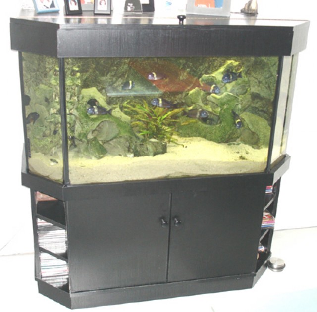 Komplettes Panorama-Aquarium ca 350 Liter - Aquarium - Meerbusch