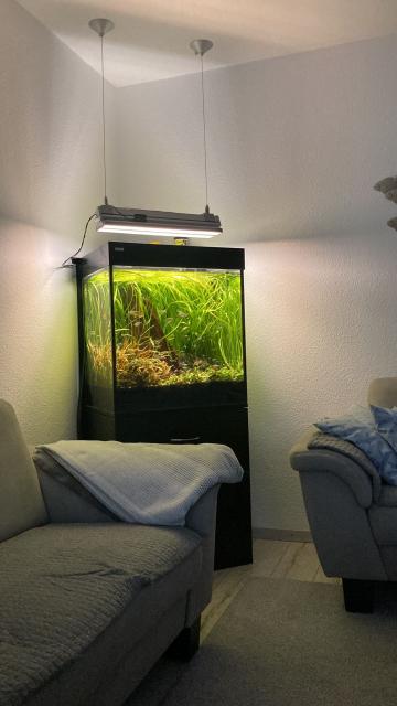 Aquarium ca. 200 l - Aquarium - Springe 