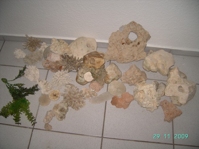 Lochgestein und Korallen - Fische Zubehoer - Unna