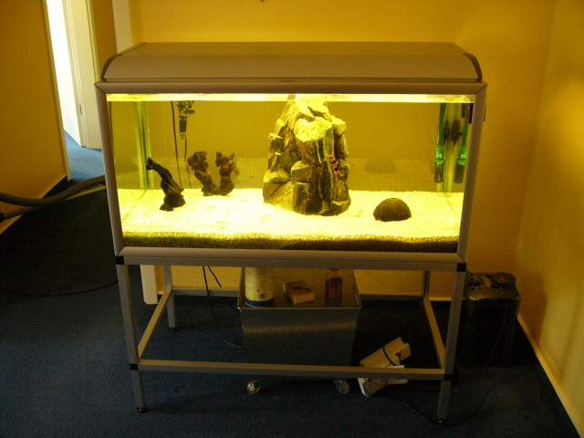 Aquarium zu verkaufen - Aquarium - Flensburg