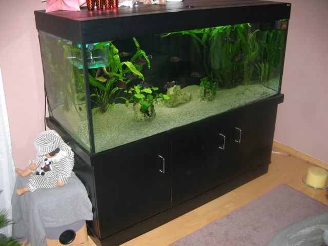 V:150x60x60 Kombi - Aquarium - Nürnberg