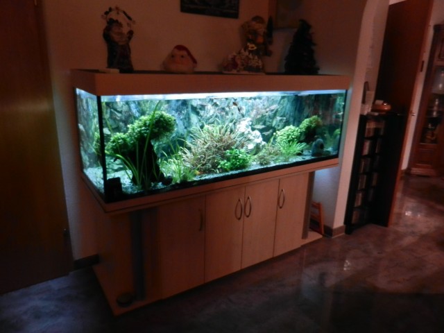 Aquarium 180/60/60 cm inkl. kpl. Zubehör Eheim Prof. 3, UV-Klärer, neuem Kies, - Aquarium - Memmingen