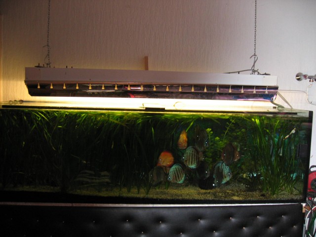Zuchtanlage - Aquarium - Erndtebrück