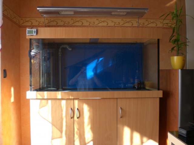 Verkaufe 468 liter Aquarium ( Meerwasser ) mit Zübehör - Aquarium - Duisburg