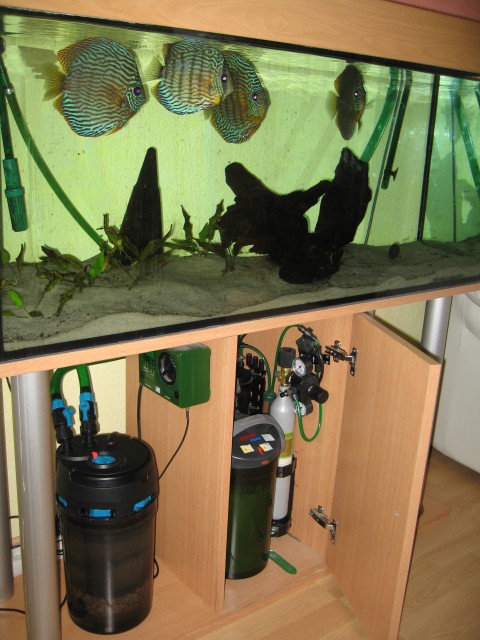 Verkaufe Komplett 240l Aquarium!!!! - Aquarium - BOTTROP